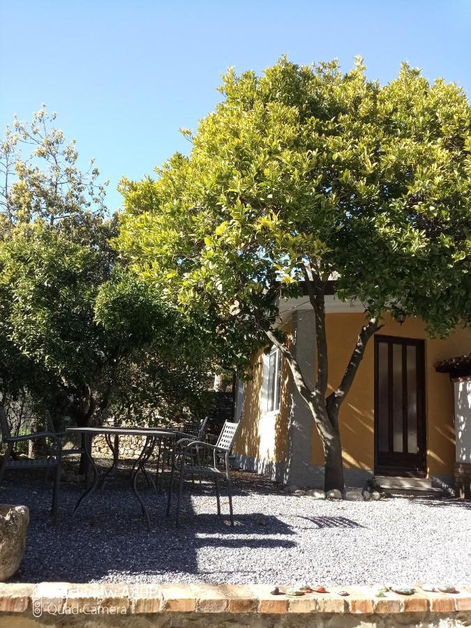Agriturismo Ardissone Thomas Borganzo エクステリア 写真